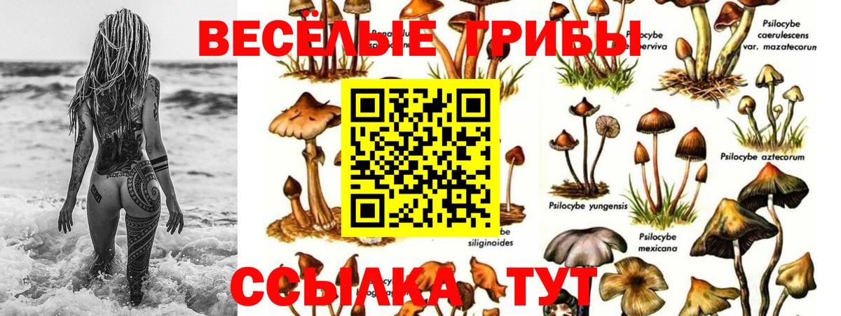 Псилоцибиновые грибы мухоморы  Вход с VPN  Нижнекамск 